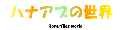 ハナアブの世界